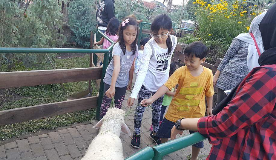 Farmhouse lembang, Bandung